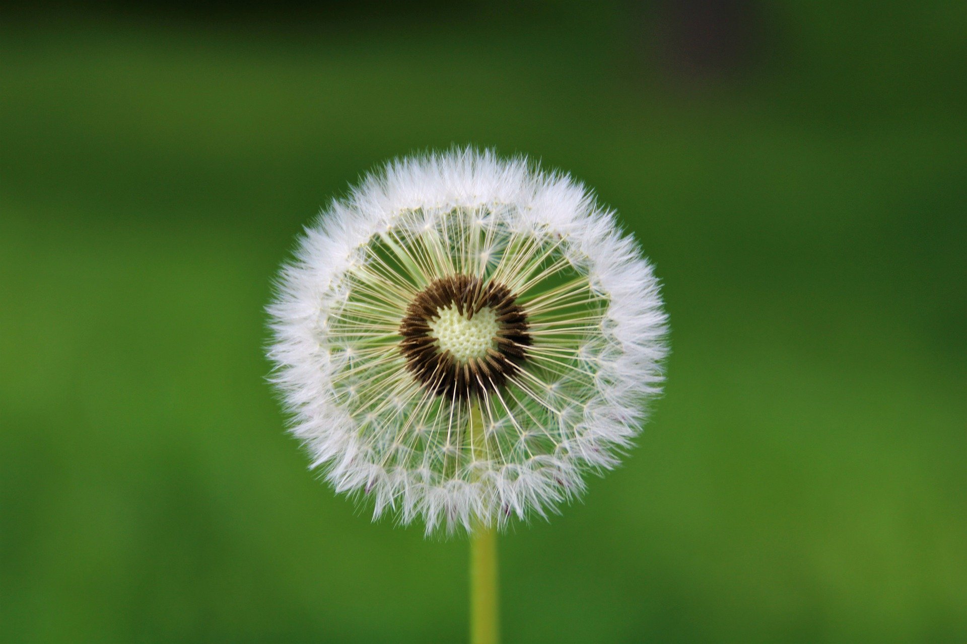 Astrid Onijs-Blog-Een andere dimensie-mentale vitaliteit-duurzame inzetbaarheid